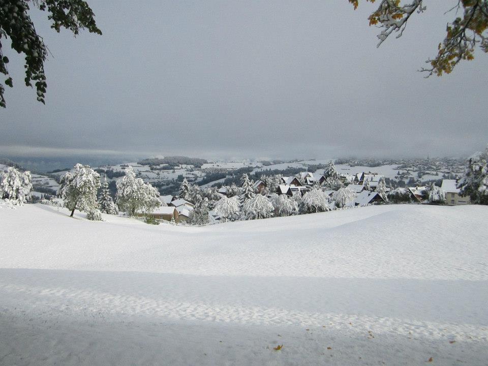 1461597 739629736051740 2061252941 n