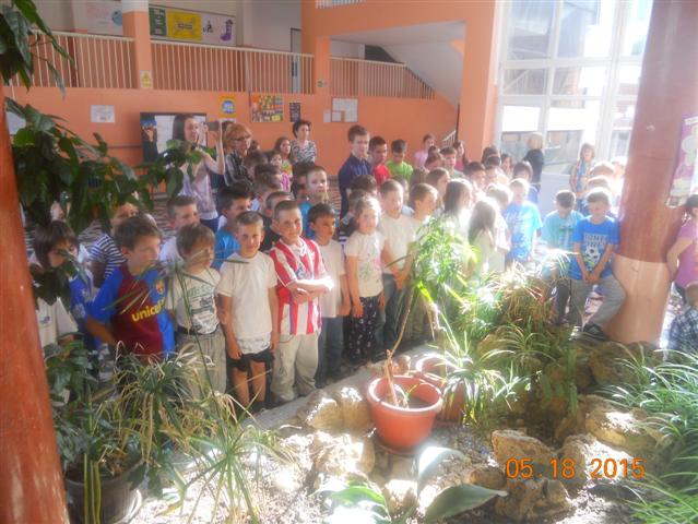 image-0b83b5c9548291c0c09abd5d4af1c61d98154924eb97fafce5adf24835f05826-V